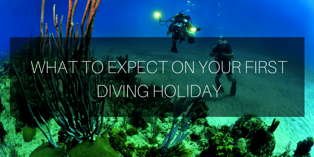 diving holidays