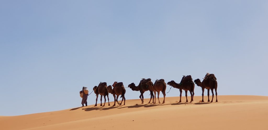 solo parent holidays to morocco