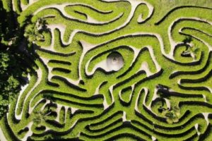 Maze Garden, Cornwall
